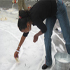 project Suikerunie