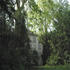 Anatol
