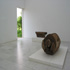 Anatol