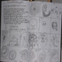 schoolkrant