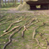 hunebed Noordlaren, land-art project