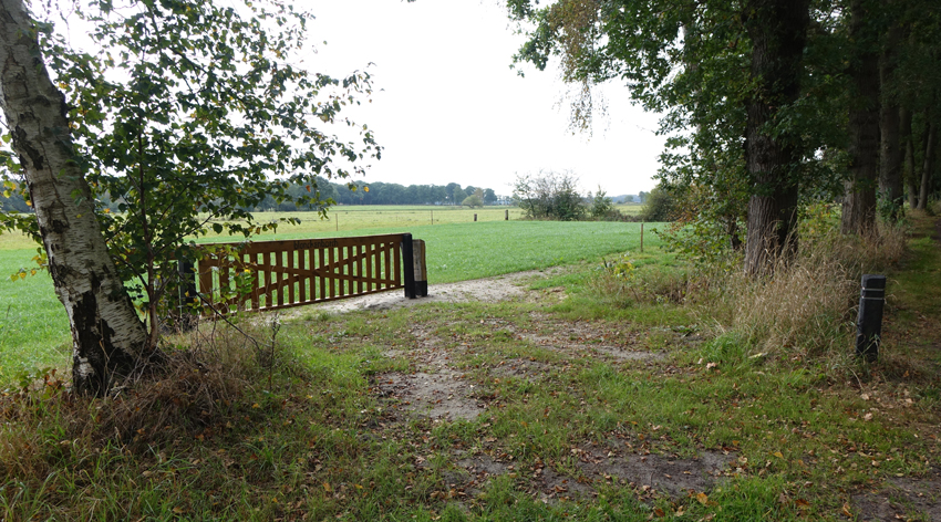 Aa