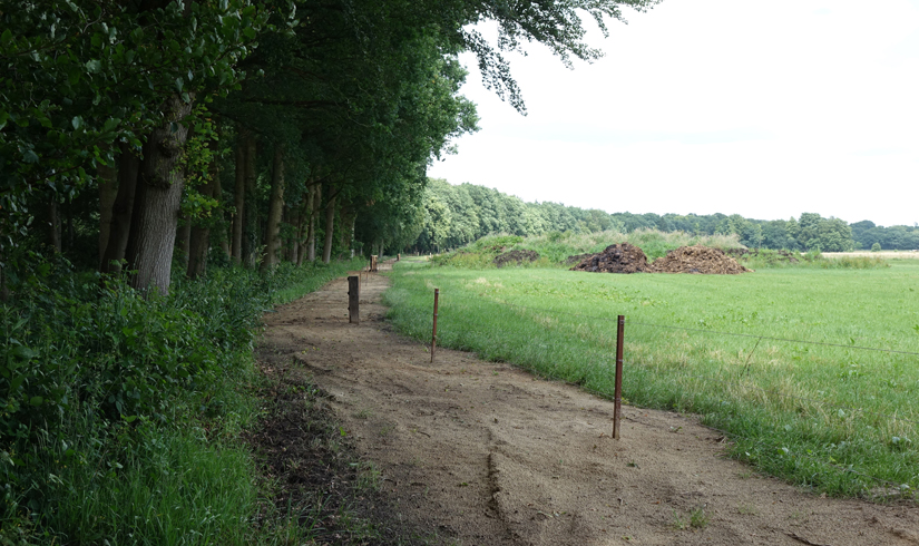 Aa