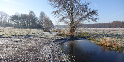 kaartje
