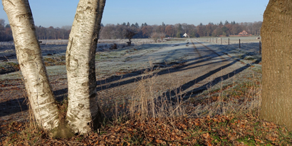 kaartje